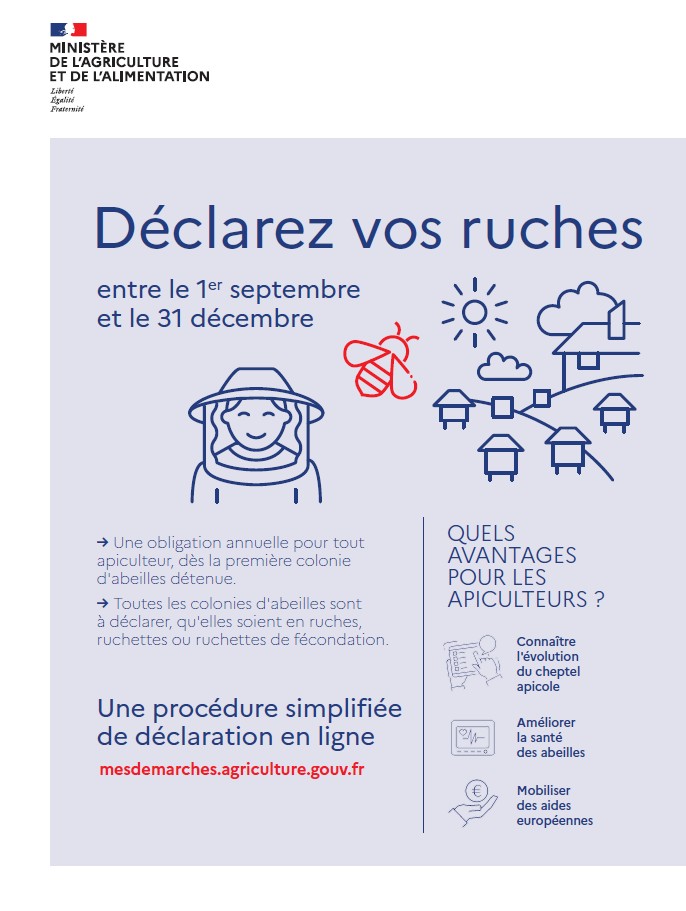 décla_ruche